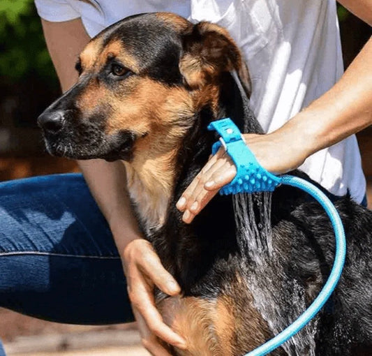 Aquapaw Bathing Dog Brush